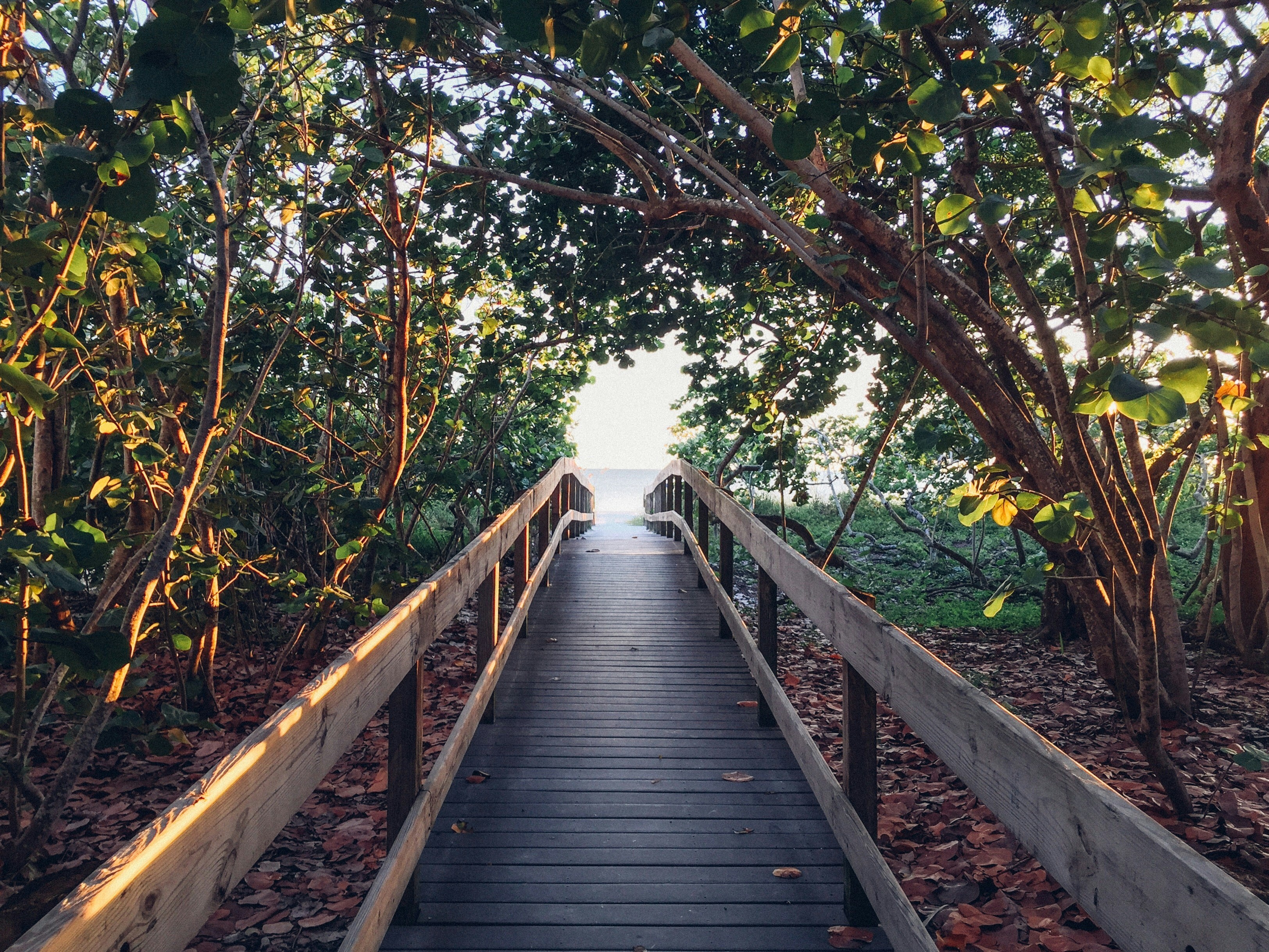 Right to disconnect and employee choice pathway for casual employees